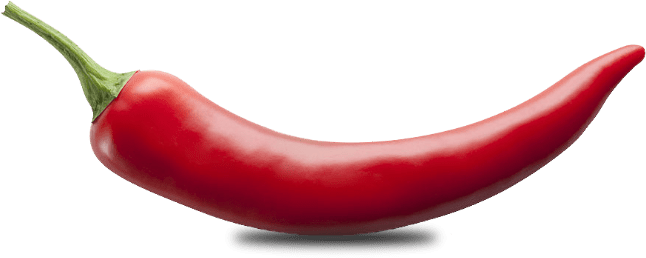 cs_chilePeppers_whole Single red chile pepper