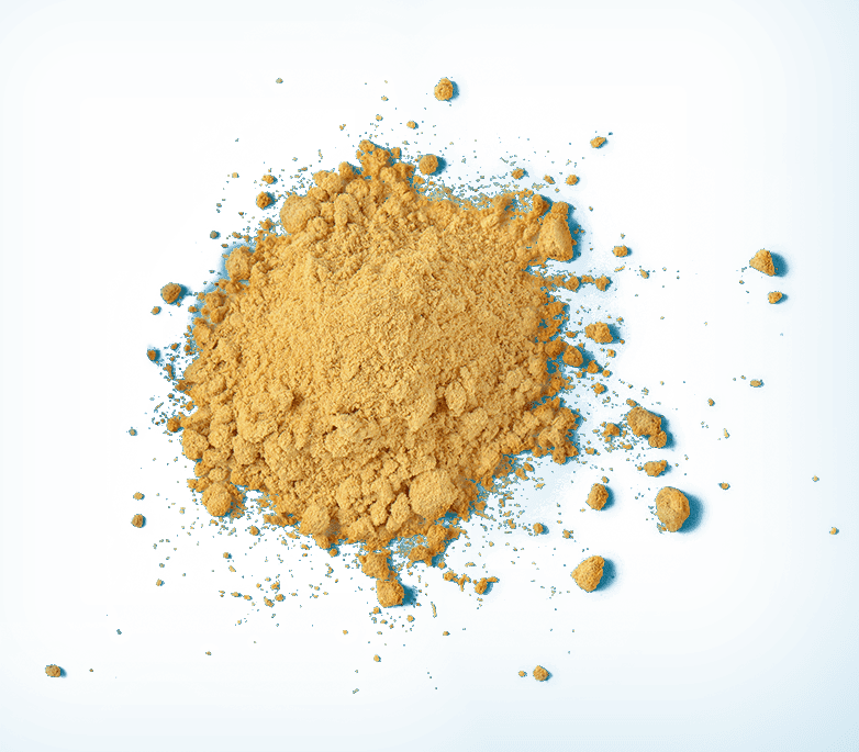 cs_garlicPowder Garlice Powder