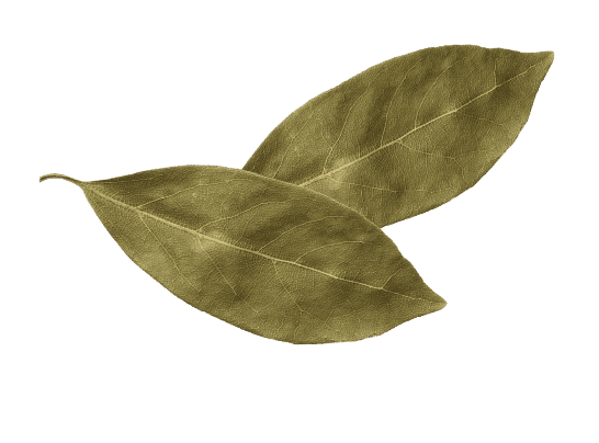 cs_greenLeaves Cooking Herbs